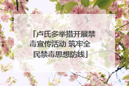 卢氏多举措开展禁毒宣传活动 筑牢全民禁毒思想防线