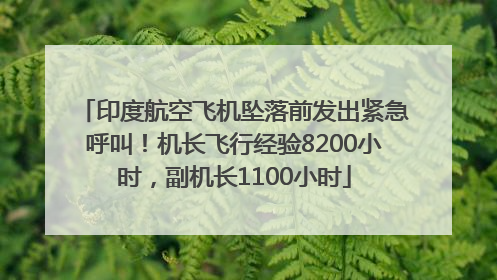 印度航空飞机坠落前发出紧急呼叫！机长飞行经验8200小时，副机长1100小时