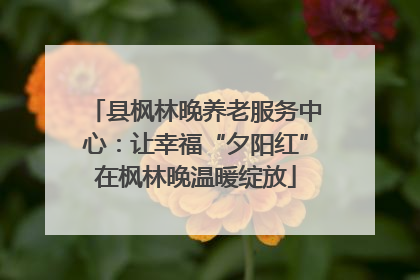 县枫林晚养老服务中心：让幸福“夕阳红”在枫林晚温暖绽放