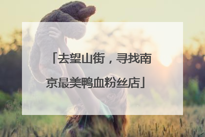去望山街，寻找南京最美鸭血粉丝店