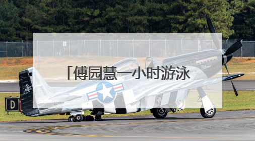 傅园慧一小时游泳课被10万元拍下