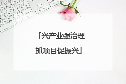 兴产业强治理 抓项目促振兴