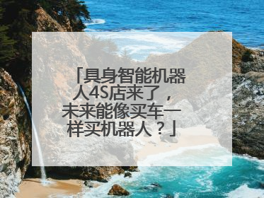 具身智能机器人4S店来了，未来能像买车一样买机器人？