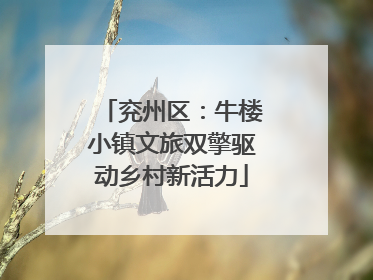 兖州区：牛楼小镇文旅双擎驱动乡村新活力