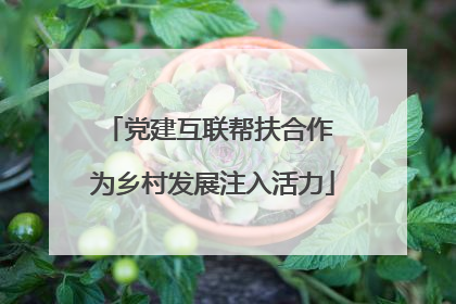 党建互联帮扶合作 为乡村发展注入活力