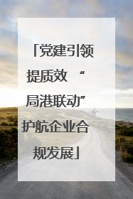 党建引领提质效 “局港联动”护航企业合规发展