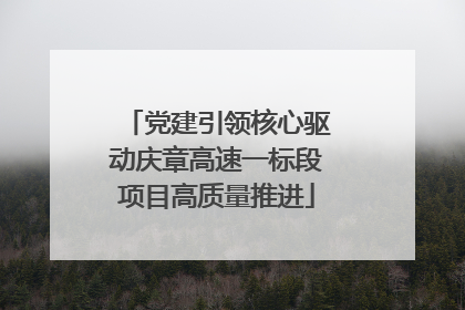 党建引领核心驱动庆章高速一标段项目高质量推进