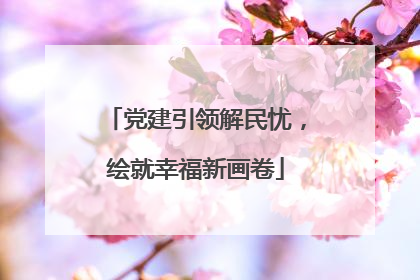 党建引领解民忧，绘就幸福新画卷