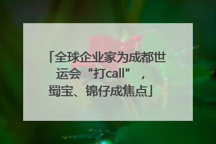 全球企业家为成都世运会“打call”，蜀宝、锦仔成焦点