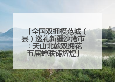 全国双拥模范城（县）巡礼新疆沙湾市：天山北麓双拥花 五届蝉联铸辉煌
