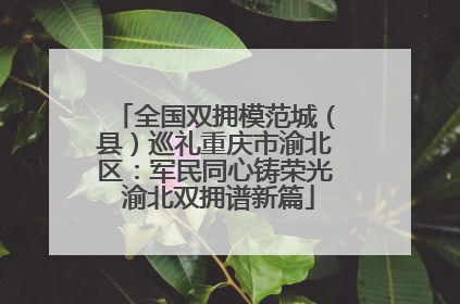 全国双拥模范城（县）巡礼重庆市渝北区：军民同心铸荣光 渝北双拥谱新篇