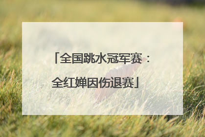 全国跳水冠军赛：全红婵因伤退赛