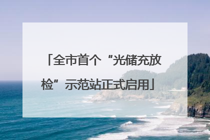 全市首个“光储充放检”示范站正式启用