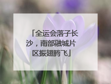 全运会落子长沙，南部融城片区振翅腾飞