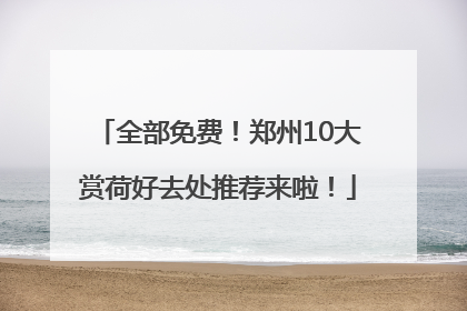 全部免费！郑州10大赏荷好去处推荐来啦！
