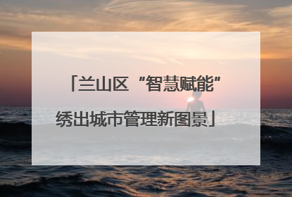 兰山区“智慧赋能”绣出城市管理新图景