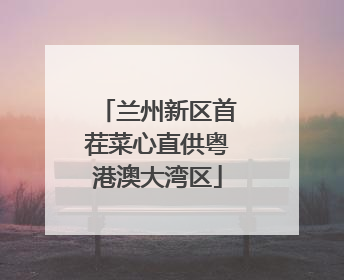 兰州新区首茬菜心直供粤港澳大湾区