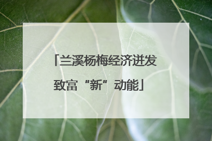 兰溪杨梅经济迸发致富“新”动能