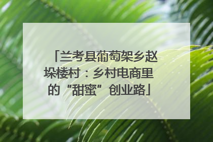 兰考县葡萄架乡赵垛楼村：乡村电商里的“甜蜜”创业路