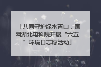 共同守护绿水青山，国网湖北电科院开展“六五”环境日志愿活动