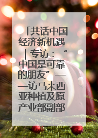 共话中国经济新机遇｜专访：“中国是可靠的朋友”——访马来西亚种植及原产业部副部长陈泓缣