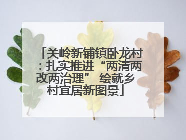 关岭新铺镇卧龙村：扎实推进“两清两改两治理” 绘就乡村宜居新图景