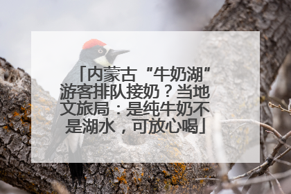 内蒙古“牛奶湖”游客排队接奶？当地文旅局：是纯牛奶不是湖水，可放心喝
