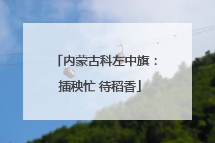 内蒙古科左中旗：插秧忙 待稻香