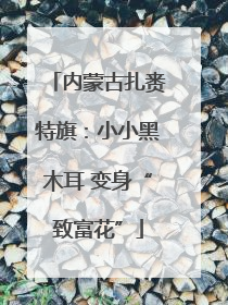 内蒙古扎赉特旗：小小黑木耳 变身“致富花”