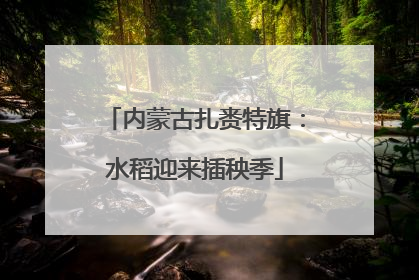 内蒙古扎赉特旗：水稻迎来插秧季