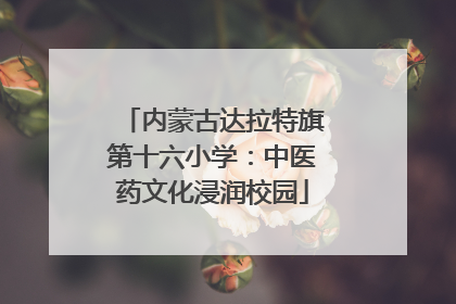 内蒙古达拉特旗第十六小学：中医药文化浸润校园