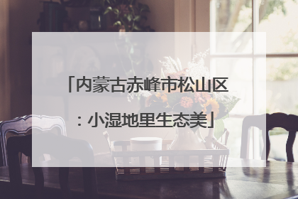 内蒙古赤峰市松山区：小湿地里生态美