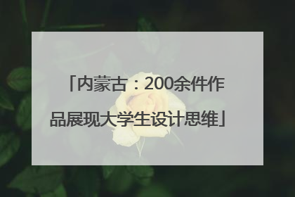 内蒙古：200余件作品展现大学生设计思维