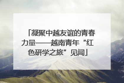 凝聚中越友谊的青春力量——越南青年“红色研学之旅”见闻