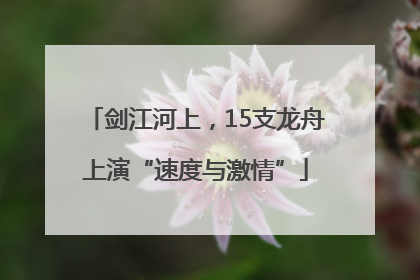 剑江河上，15支龙舟上演“速度与激情”