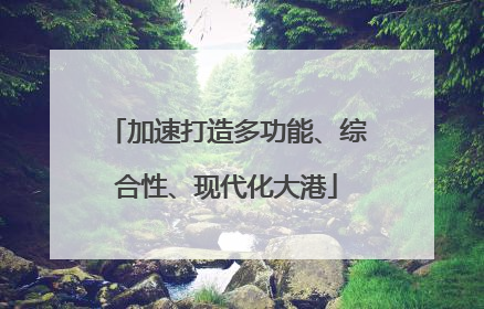 加速打造多功能、综合性、现代化大港