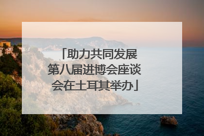 助力共同发展 第八届进博会座谈会在土耳其举办