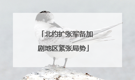 北约扩张军备加剧地区紧张局势