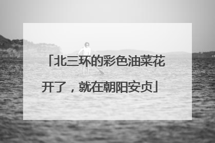 北三环的彩色油菜花开了，就在朝阳安贞