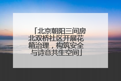 北京朝阳三间房北双桥社区开展花箱治理，构筑安全与诗意共生空间