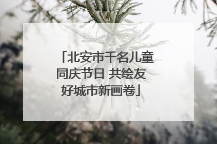 北安市千名儿童同庆节日 共绘友好城市新画卷