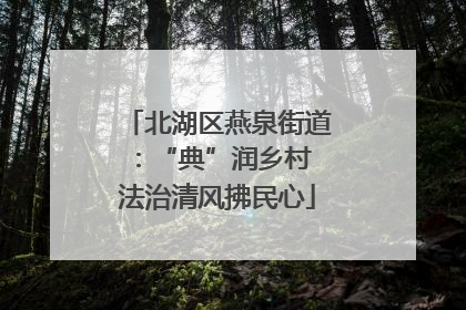 北湖区燕泉街道：“典”润乡村 法治清风拂民心