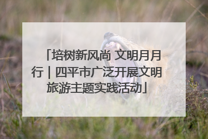 培树新风尚 文明月月行｜四平市广泛开展文明旅游主题实践活动