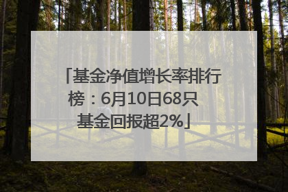 基金净值增长率排行榜：6月10日68只基金回报超2%