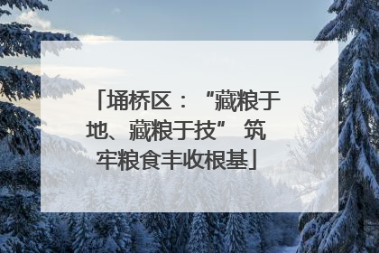 埇桥区：“藏粮于地、藏粮于技” 筑牢粮食丰收根基