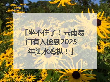 坐不住了！云南易门有人捡到2025年头水鸡枞！
