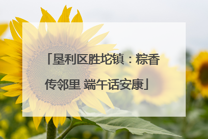 垦利区胜坨镇：粽香传邻里 端午话安康