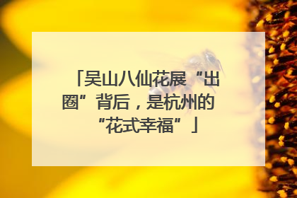吴山八仙花展“出圈”背后，是杭州的“花式幸福”