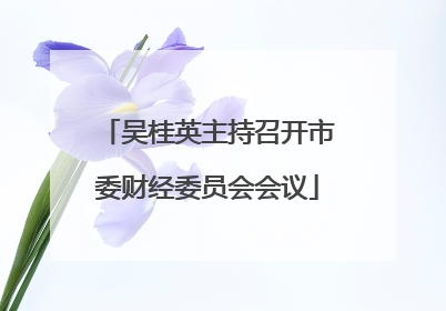 吴桂英主持召开市委财经委员会会议