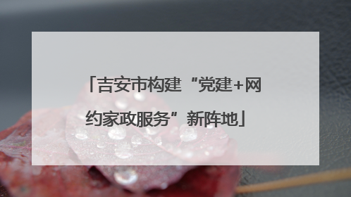 吉安市构建“党建+网约家政服务”新阵地